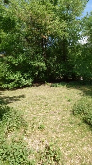 Schillerpark 1 Preview